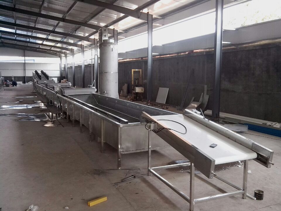 蔬菜清洗機